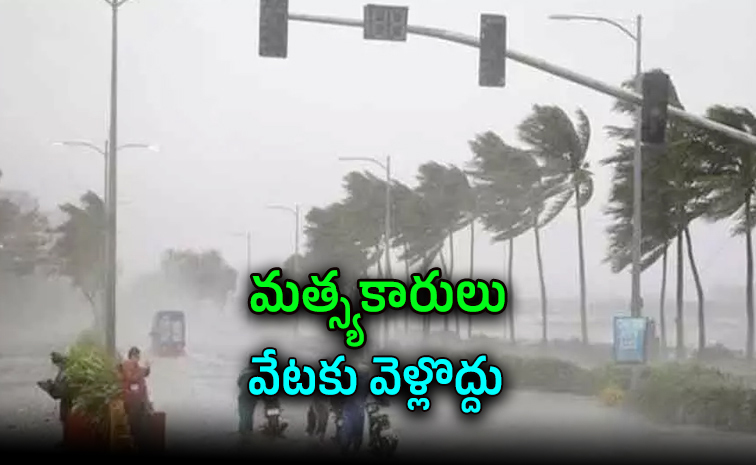 Rains3.jpg