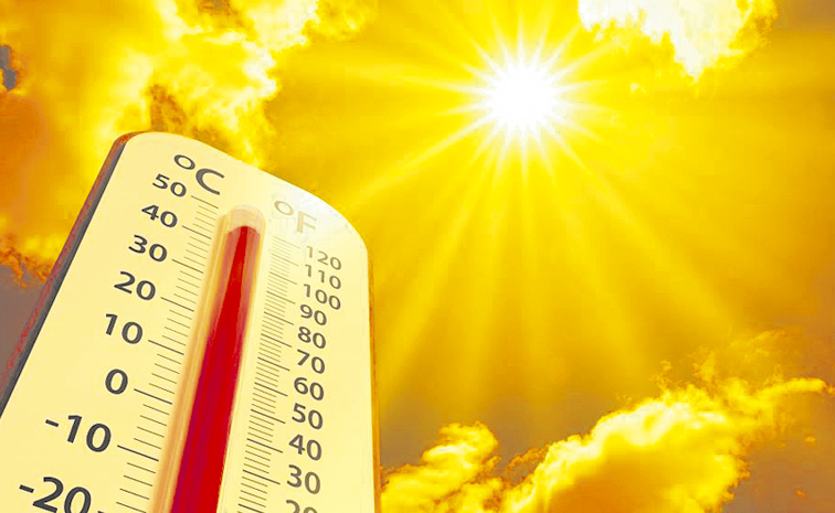 SUMMER-2.jpg