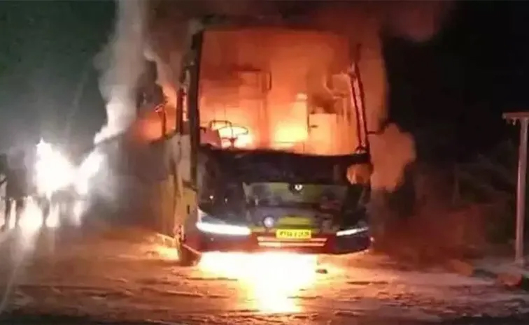 bus.jpg