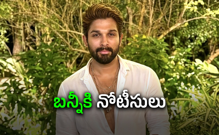 Allu-arjun-in-Sandhya-theatre.jpg
