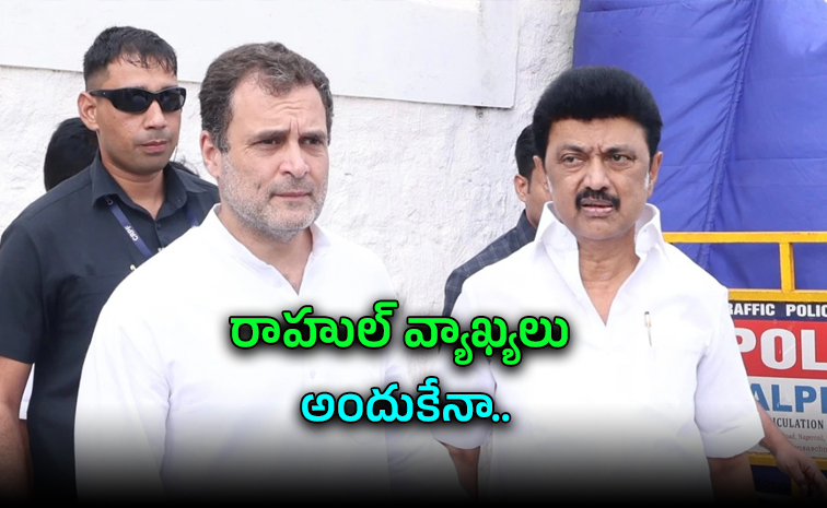 Rahulgandhi.jpg