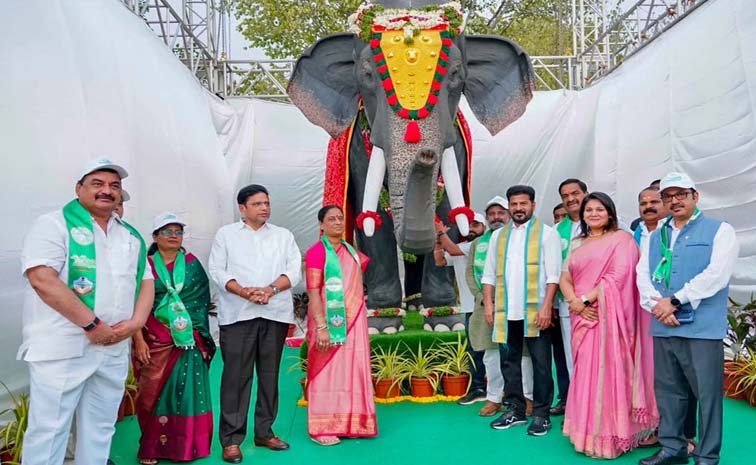 elepha.jpg