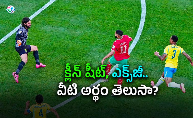 FIFA-Fever-in-India.jpg