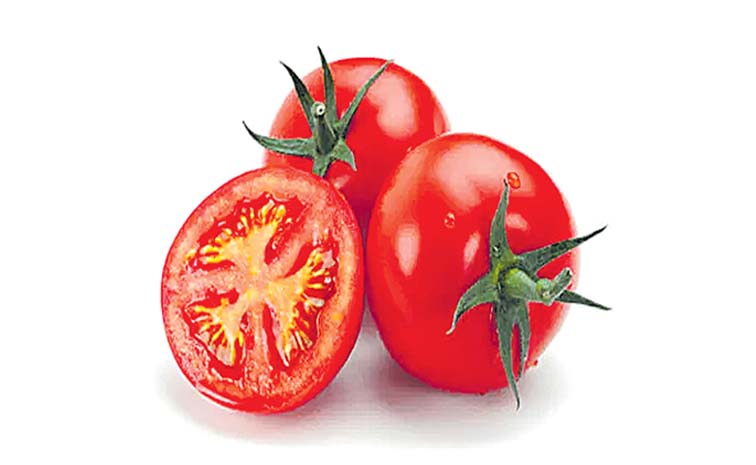 Tomato.jpg