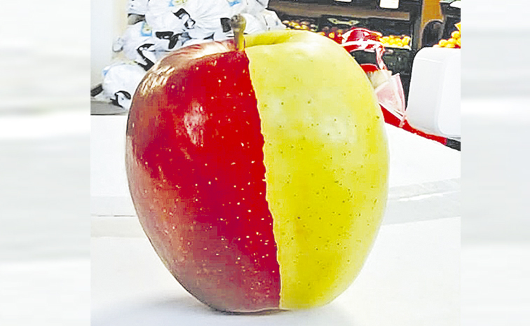 APPLE.jpg