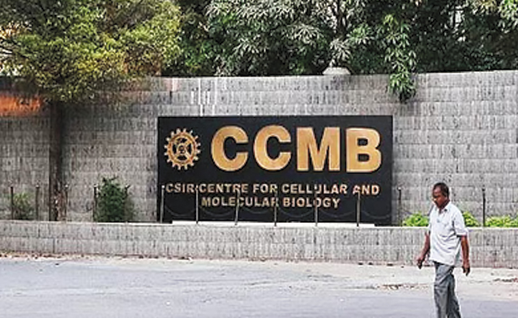 CCMB.jpg