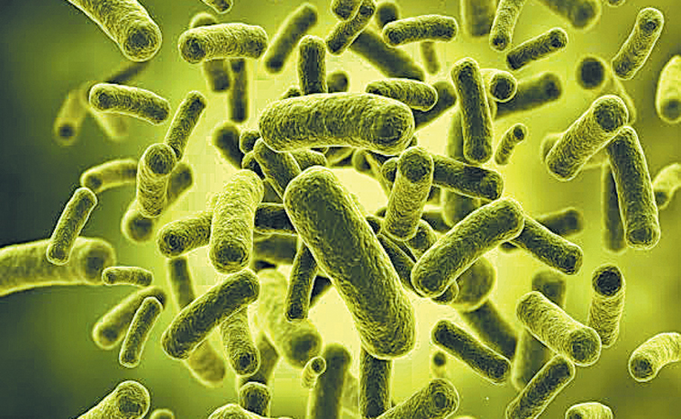 COLIFORM234.jpg