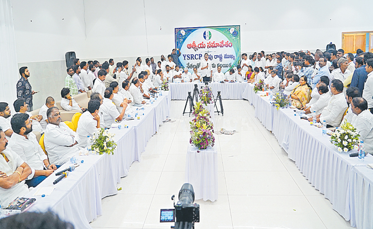 ycp.jpg