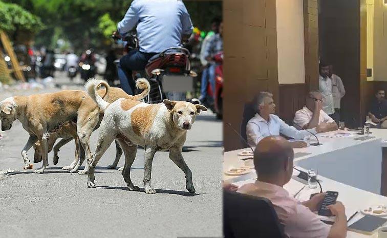 Karnataka_Minister_Stray_Do.jpg