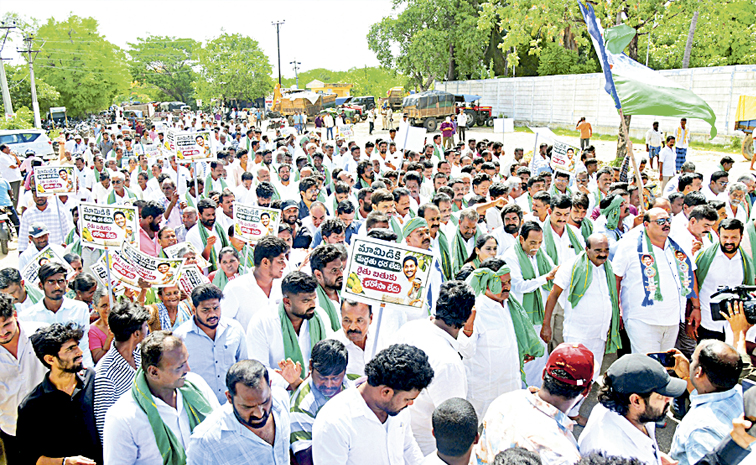 ysrcp.jpg