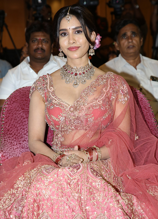 Nagabandham_20Pre_20Release_20Event_20HD_20Photos__20_287_29.jpg 7