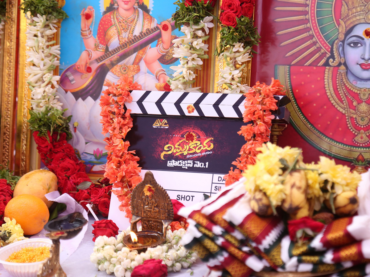 Nimmakaya_20Neekenduku_20Bhayam_20Movie_20Opening__20_282_29.jpg 2