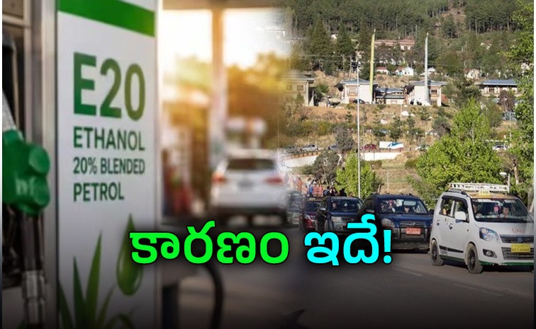 e20-petrol.jpeg