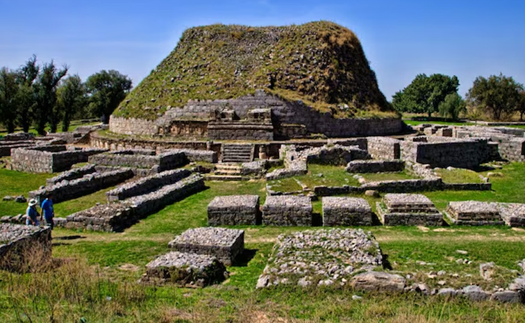 tasefo.jpg