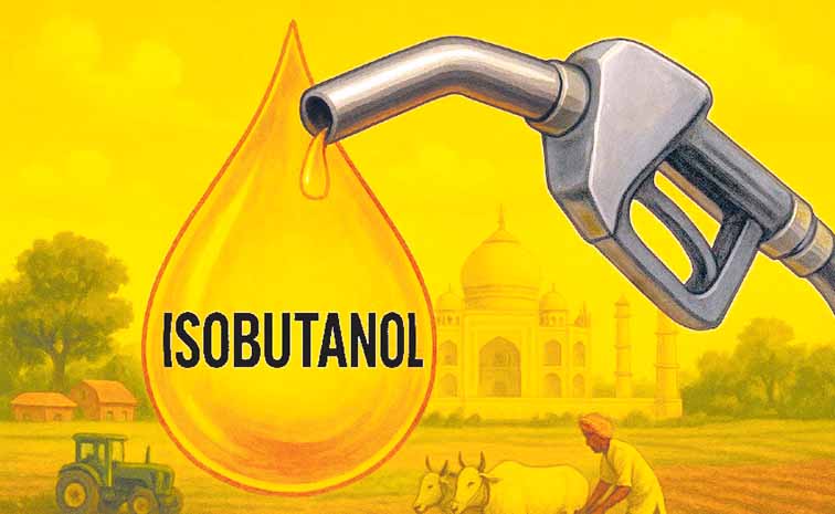 petroo.jpg