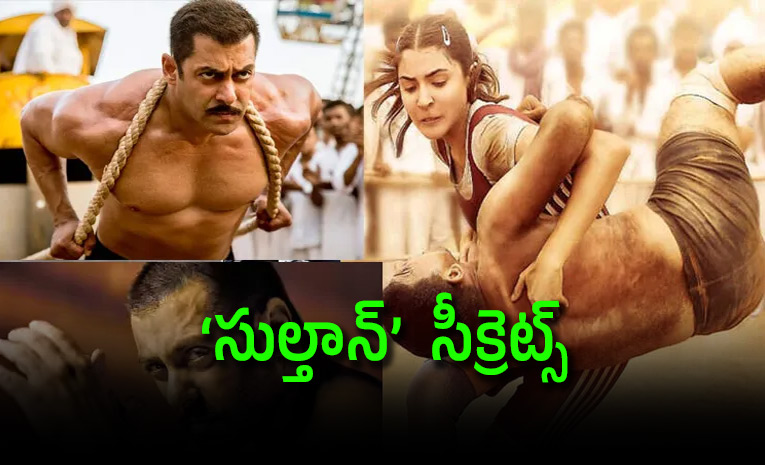 10-Years-of-Sultan-Unheard-Secrets-of-Salman-Khan_26_23039_3Bs-Blockbuster.jpg