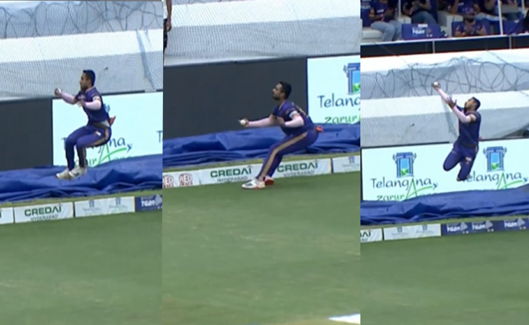Catch.jpg