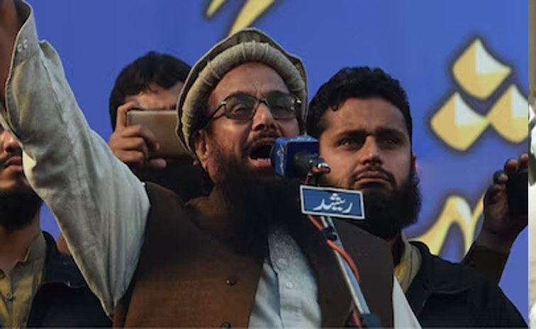 hafeez.jpg