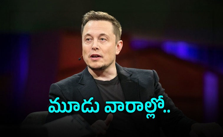 elon-musk_0.jpg
