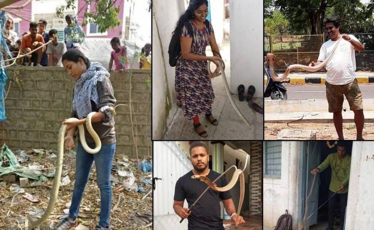 Snakes_hyderabad.jpg