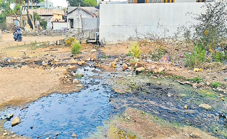 5MUSTABAD-SIRICILLA-DIST.jpg