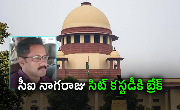 CI-Nagaraju-Custody.jpg