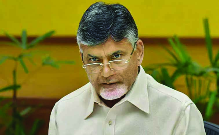 cbn.jpg
