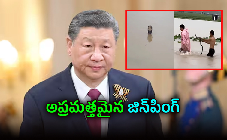 jinping.jpg