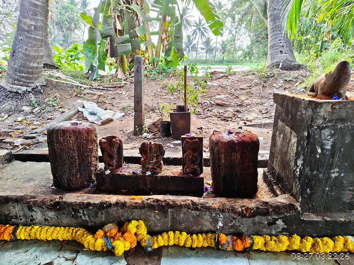 Sri-Lakshmi-Ganapati-Temple-in-Bikkavolu-of-East-Godavari_-_2810_29.jpg 16