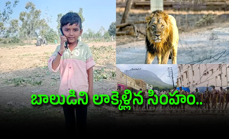 Lion-Attacks-11-Year-Old-Boy-In-Girnar-Hill.jpg