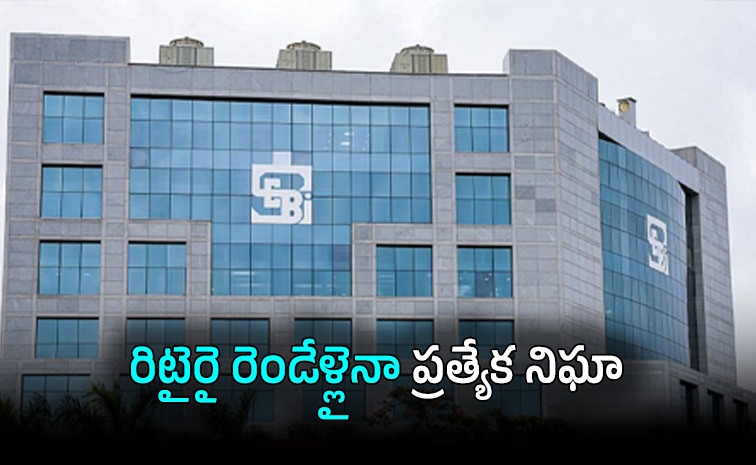 sebi01.jpg