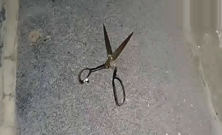 448.jpg