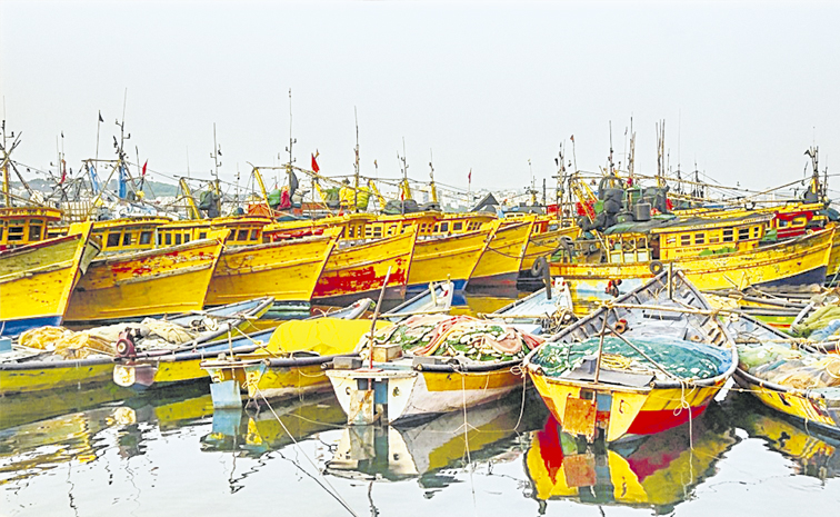 BOATS55.jpg