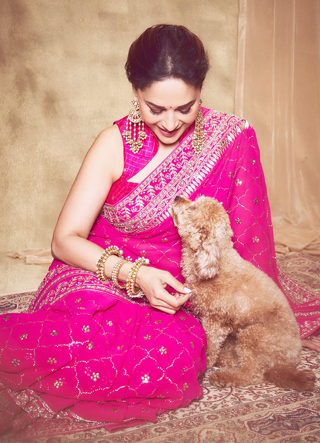 Madhuri_20Dixit_20_2811_29.jpg 11