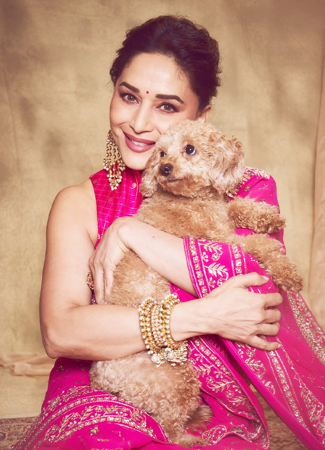 Madhuri_20Dixit_20_282_29.jpg 2
