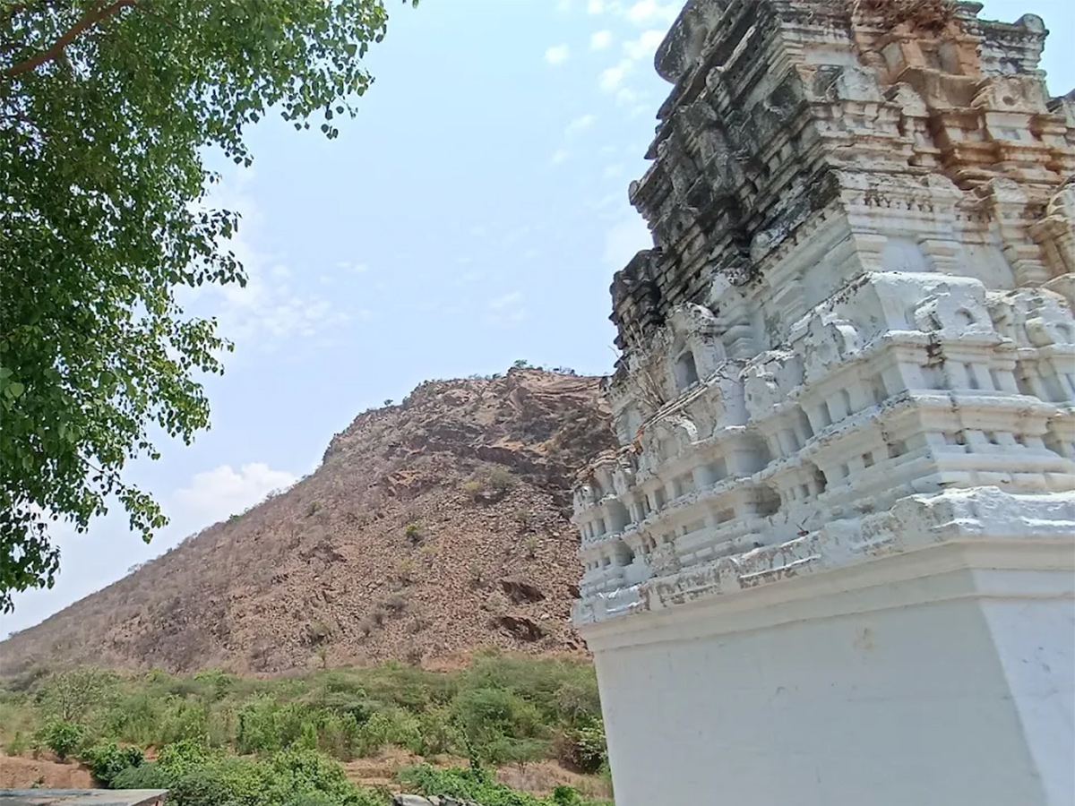 Sri_20Nemali_20Gundla_20Ranganayakaswamy_20Temple_20HD_20Photos__20_2816_29.jpg 16