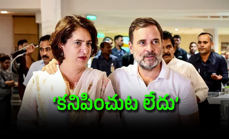 Rahul-Gandhis-whereabouts-questioned-amid-Wayanad-landslides-and-Delhi-protests.jpg