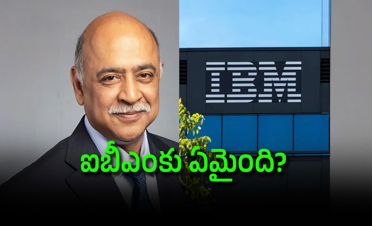 What-Went-Wrong-IBM-Losesusd-70-Billion-After-Worst-Stock-Crash-In-58-Years.jpg