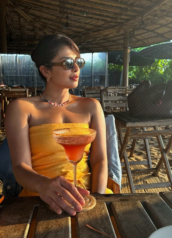 Actress_20priyankachopra_20Birthday_20Special_20Photos_20_2818_29.jpg 17
