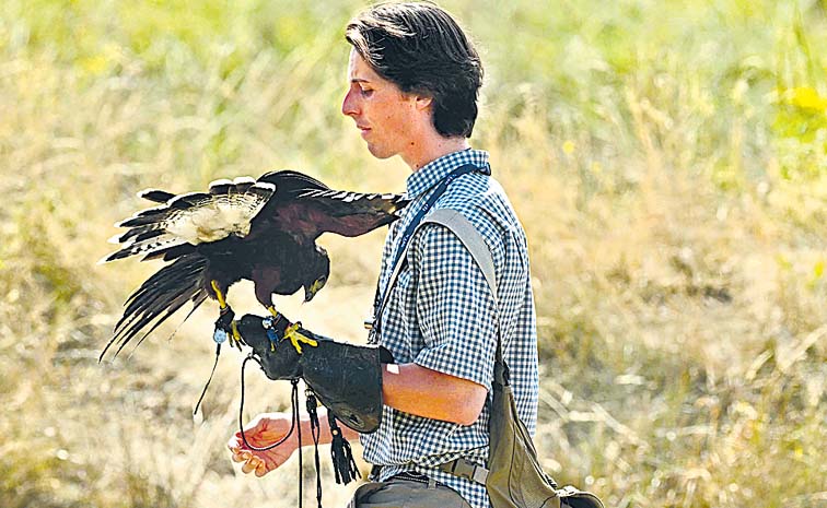 Golf_20Eagle.jpg