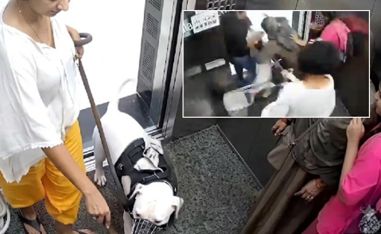 Panic-Inside-Lift-As-Aggres.jpg