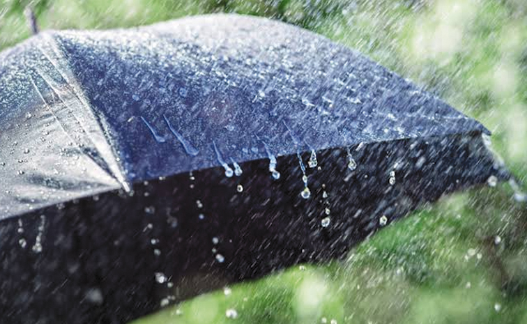Rain.jpg