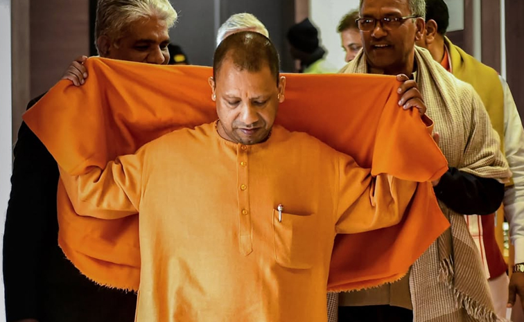 Yogi_Reels_News.jpg