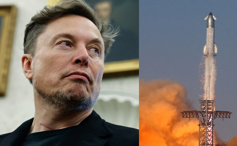 muskaaa.jpg