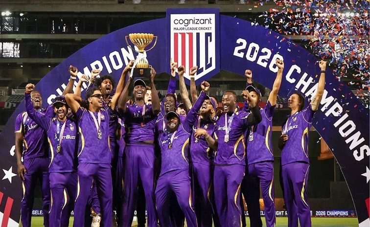 MLC.jpg