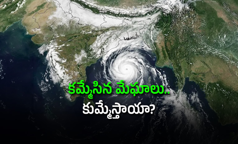 El-Nino-Weakens-Monsoon-Revival-Brings-Rain-Hope.jpg