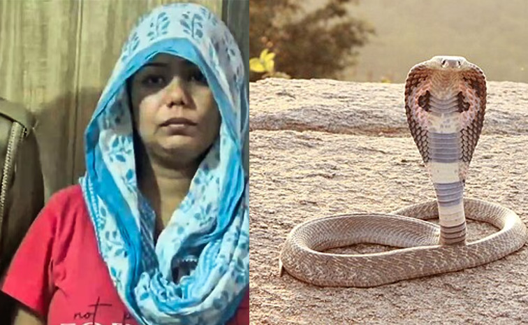 damini.jpg