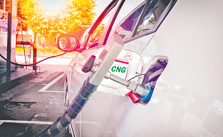 CNG-584754838.jpg