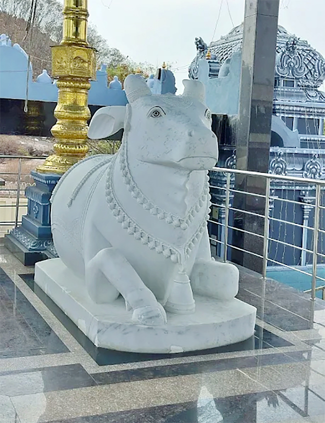Devotional_20_20Sri_20Venkateshwara_20Swamy_20Temple_20Kakatiya_20Hills__20_2816_29.jpg 16