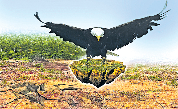 EAGLE-O.jpg